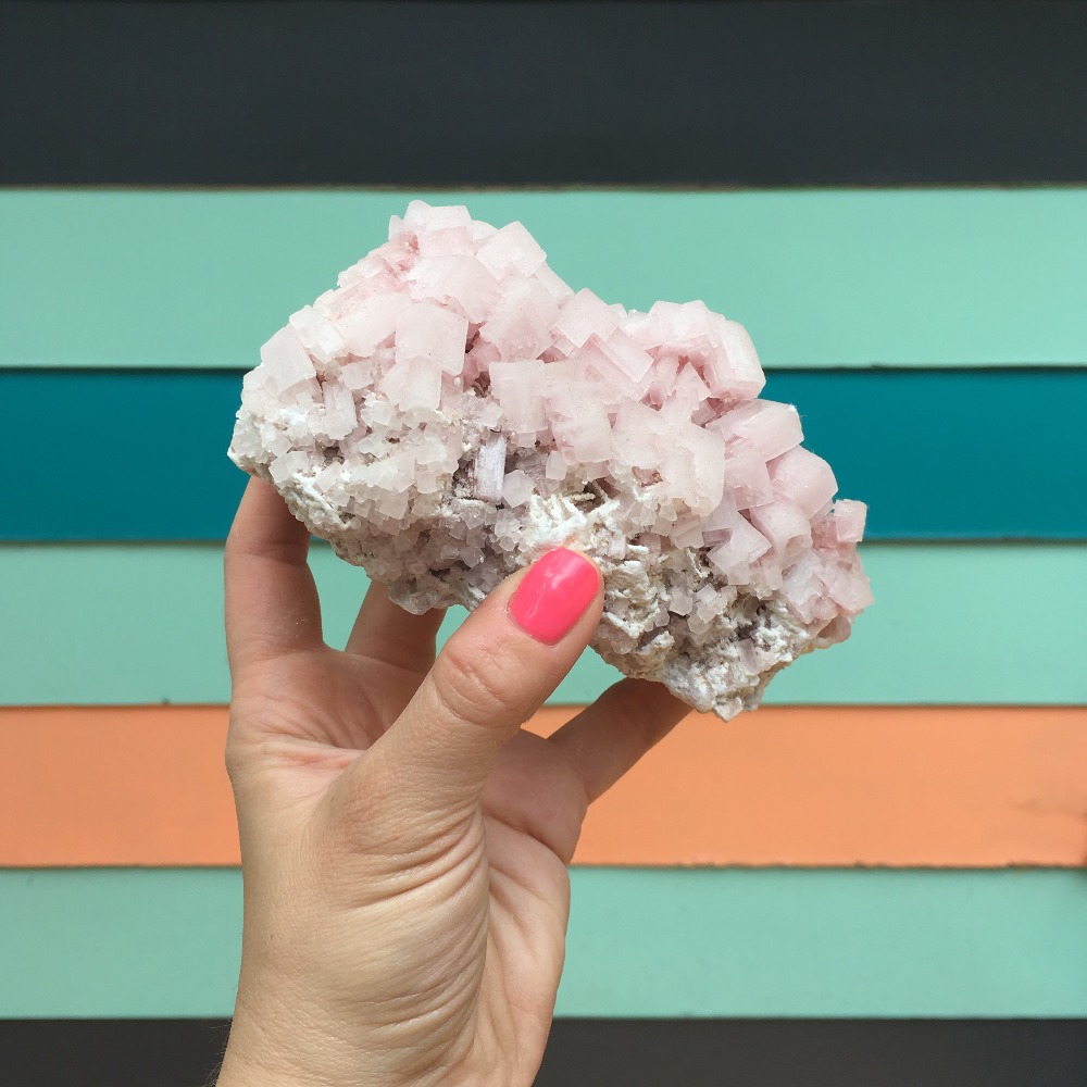 Meet your Posher, Lindsay